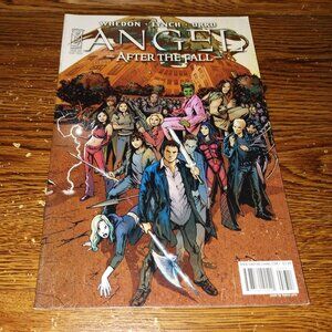 Angel: After the Fall #17 (IDW Comics, 2009)  Cover Variant B